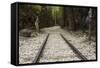 Hellfire Pass Museum, on the Infamous Thai-Burmese Death Railway-Alex Robinson-Framed Stretched Canvas