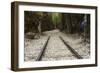 Hellfire Pass Museum, on the Infamous Thai-Burmese Death Railway-Alex Robinson-Framed Photographic Print