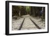 Hellfire Pass Museum, on the Infamous Thai-Burmese Death Railway-Alex Robinson-Framed Photographic Print