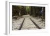 Hellfire Pass Museum, on the Infamous Thai-Burmese Death Railway-Alex Robinson-Framed Photographic Print