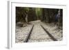 Hellfire Pass Museum, on the Infamous Thai-Burmese Death Railway-Alex Robinson-Framed Photographic Print