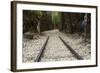 Hellfire Pass Museum, on the Infamous Thai-Burmese Death Railway-Alex Robinson-Framed Photographic Print