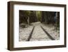 Hellfire Pass Museum, on the Infamous Thai-Burmese Death Railway-Alex Robinson-Framed Photographic Print