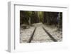 Hellfire Pass Museum, on the Infamous Thai-Burmese Death Railway-Alex Robinson-Framed Photographic Print