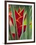 Helliconias, Rarotonga, Cook Islands-Walter Bibikow-Framed Photographic Print