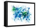 Framed Canvas