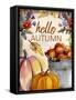 Hello Autumn-Kimberly Allen-Framed Stretched Canvas