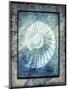 Hello Beach Shell I-LightBoxJournal-Mounted Premium Giclee Print