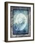 Hello Beach Shell I-LightBoxJournal-Framed Giclee Print