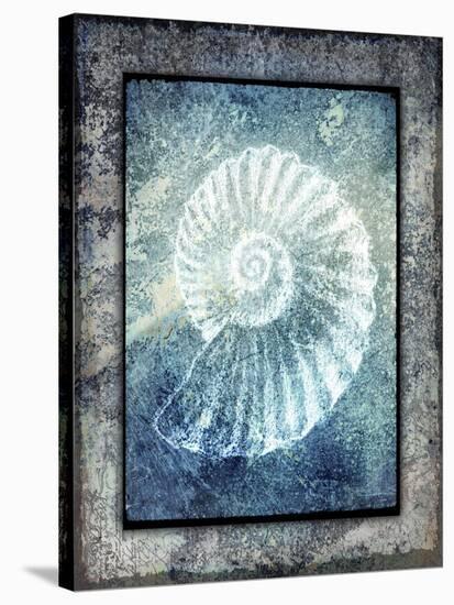 Hello Beach Shell I-LightBoxJournal-Stretched Canvas