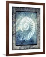 Hello Beach Shell I-LightBoxJournal-Framed Giclee Print