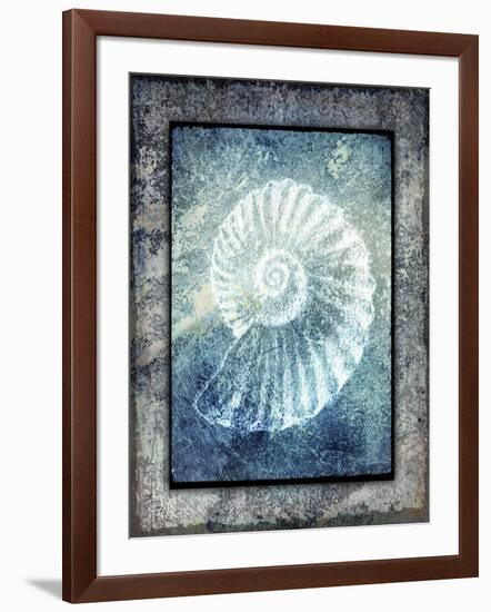 Hello Beach Shell I-LightBoxJournal-Framed Giclee Print