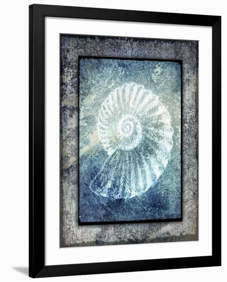 Hello Beach Shell I-LightBoxJournal-Framed Giclee Print