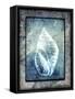 Hello Beach Shell II-LightBoxJournal-Framed Stretched Canvas