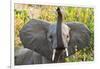 Hello Elephant-Howard Ruby-Framed Photographic Print