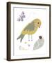 Hello Friends - Bird-Clara Wells-Framed Giclee Print