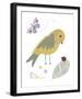 Hello Friends - Bird-Clara Wells-Framed Giclee Print