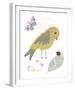 Hello Friends - Bird-Clara Wells-Framed Giclee Print