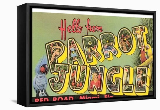 Hello from Parrot Jungle, Miami, Florida-null-Framed Stretched Canvas