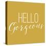 Hello Gorgeous 2-Gigi Louise-Stretched Canvas