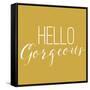 Hello Gorgeous 2-Gigi Louise-Framed Stretched Canvas