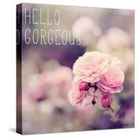 Hello Gorgeous-Sarah Gardner-Stretched Canvas