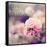 Hello Gorgeous-Sarah Gardner-Framed Stretched Canvas