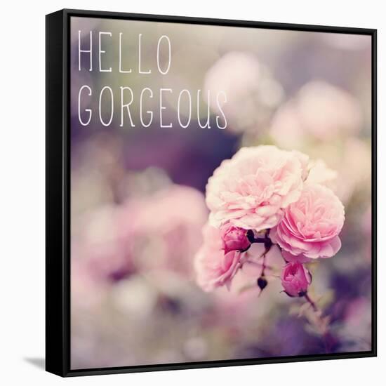 Hello Gorgeous-Sarah Gardner-Framed Stretched Canvas