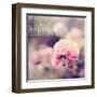 Hello Gorgeous-Sarah Gardner-Framed Art Print