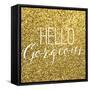 Hello Gorgeous-Gigi Louise-Framed Stretched Canvas