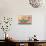 Hello Kitty and Friends: 22 Seize The Moment - Safari-Trends International-Stretched Canvas displayed on a wall