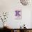 Hello Kitty and Friends: 24 College Letter - Kuromi-Trends International-Stretched Canvas displayed on a wall