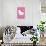 Hello Kitty - Face-Trends International-Stretched Canvas displayed on a wall