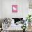 Hello Kitty - Face-Trends International-Framed Stretched Canvas displayed on a wall