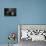 Hello Kitty ;)-Mario Grobenski-Stretched Canvas displayed on a wall