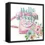 Hello Lovely!-Studio Rofino-Framed Stretched Canvas