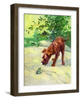 Hello, Mr. Frog-Diana Thorne-Framed Art Print