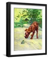 Hello, Mr. Frog-Diana Thorne-Framed Art Print