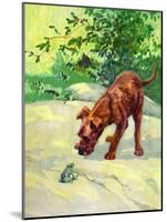 Hello, Mr. Frog-Diana Thorne-Mounted Art Print