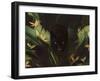 Hello Panther, 2020 (Digital)-Florent Bodart-Framed Giclee Print