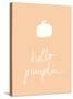 Hello Pumpkin Orange-Wild Apple Portfolio-Stretched Canvas