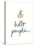 Hello Pumpkin-Wild Apple Portfolio-Stretched Canvas