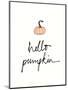 Hello Pumpkin-Wild Apple Portfolio-Mounted Art Print