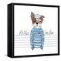 Hello, Sailor - Nautical French Bulldog Sailor-Olga_Angelloz-Framed Stretched Canvas