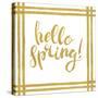 Hello Spring-Patricia Pinto-Stretched Canvas