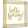 Hello Spring-Patricia Pinto-Mounted Art Print