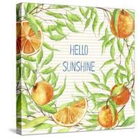 Hello Sunshine-Irina Trzaskos Studios-Stretched Canvas