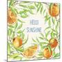 Hello Sunshine-Irina Trzaskos Studios-Mounted Premium Giclee Print