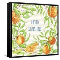 Hello Sunshine-Irina Trzaskos Studios-Framed Stretched Canvas