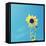 Hello Sunshine-Lisa Hill Saghini-Framed Stretched Canvas